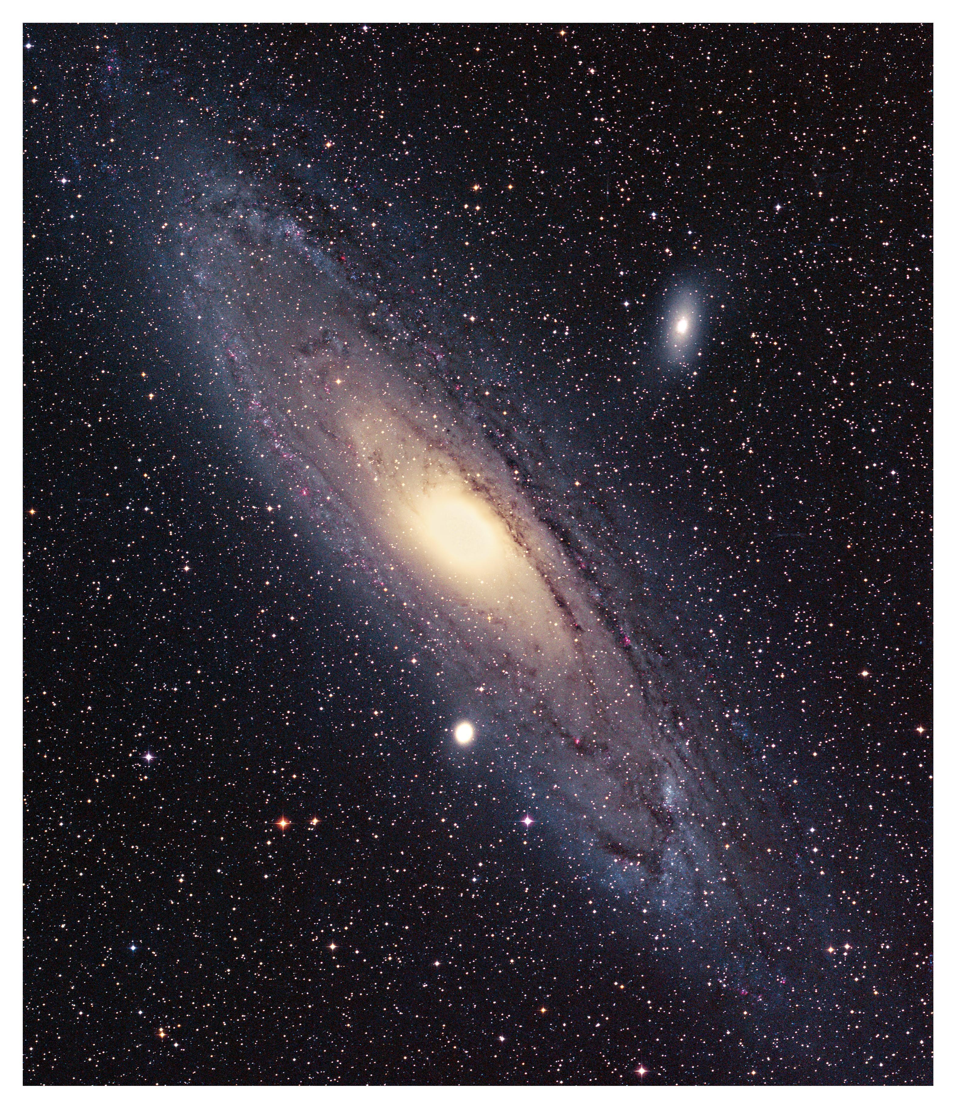 M31